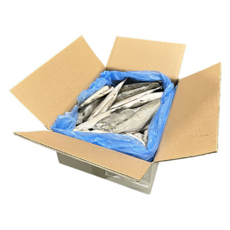 Mrazený Pstruh dúhový pitvavný celý 250-300g, 10% 5kg