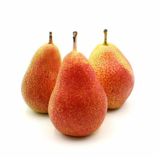 Hruška červená Cheeky kal. 65+, I.trieda